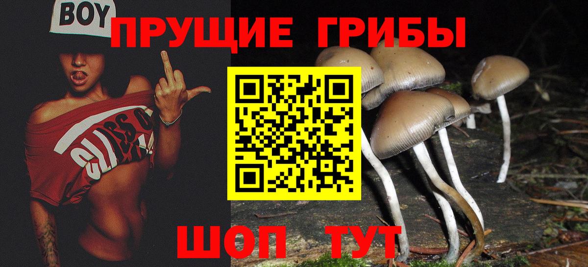 Псилоцибиновые грибы Psilocybine cubensis  Галлюциногенные грибы мицелий  Котельники  Вход с VPN 