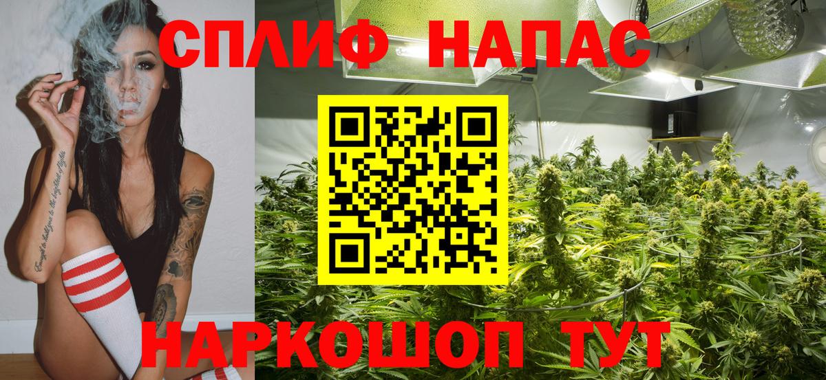 Конопля сатива Котельники